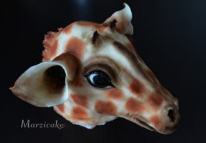 Žirafa 1